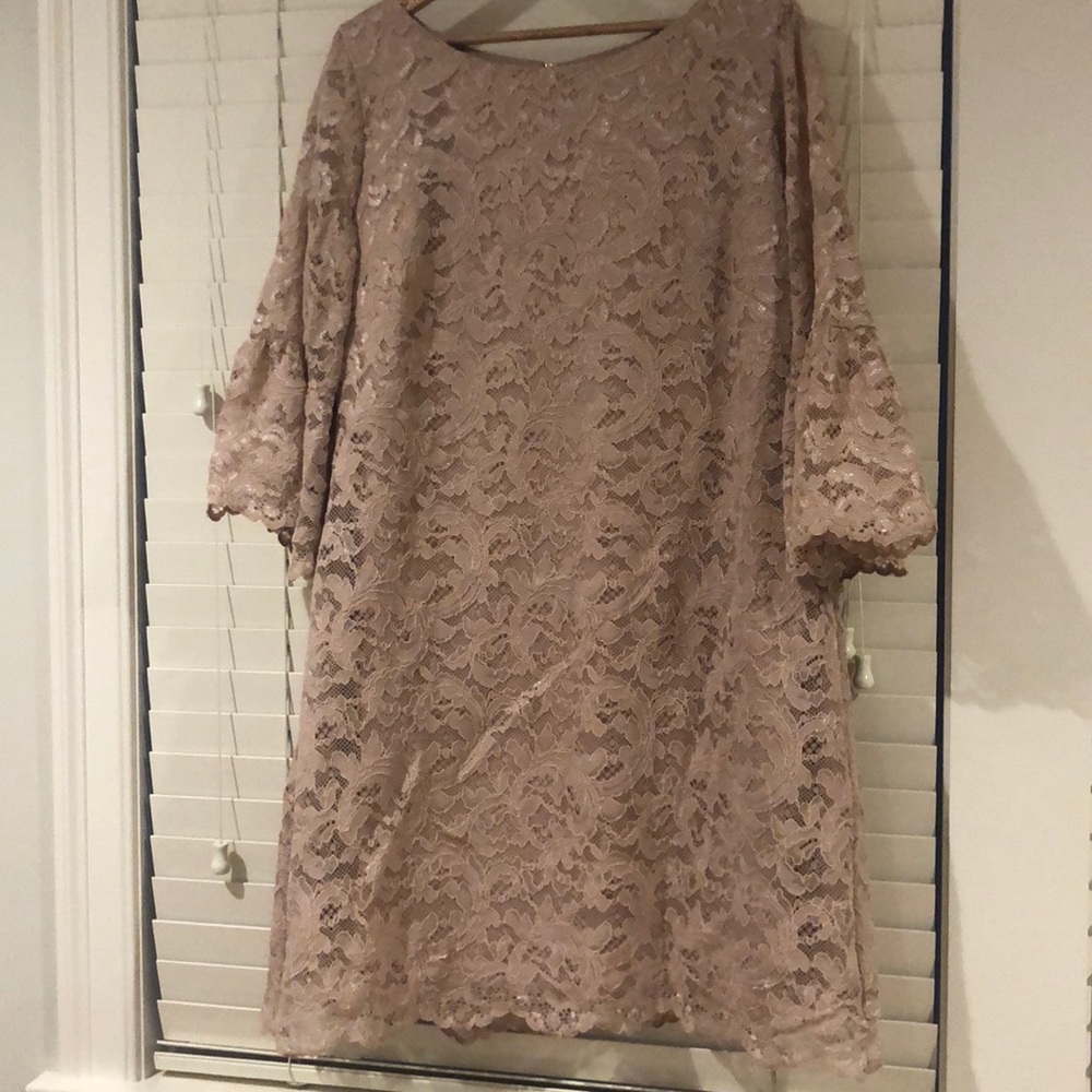 Eliza J lace dress Blush